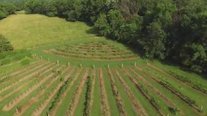 1.9K views · 24 reactions | More than 30 different family farms are...