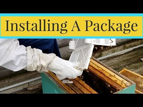 How To Install A Package Of Bees