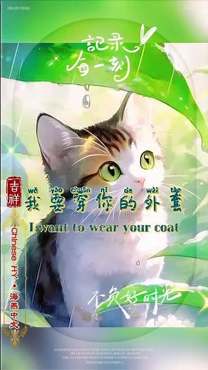 学猫叫 Learn to meow| English lyrics | Pinyin Lyrics funny kitten | 可爱 cute | pets | Chinese song #疗愈