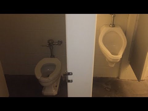 [1295] RARE mid 1960's Eljer Newark toilet and Terminal urinal!