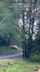 Big Jump!! Thierry Neuville 🇧🇪🔥🔥 Rally Finland 🇫🇮📍 | Wrc Motorsport