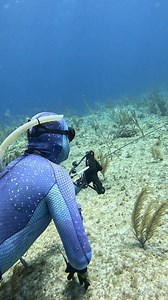 6.2M views · 188K reactions | This is Expert Underwater Hunting | Ryan Myers | Facebook