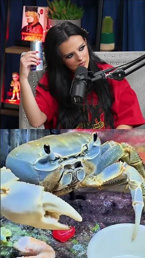you gotta see this