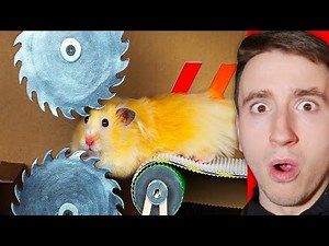 Našel Jsem Fakt DIVNOU Část YOUTUBE... (Křeček VS Bludiště)