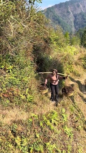 Overcoming Life's Challenges: Solo on the Mountain Path