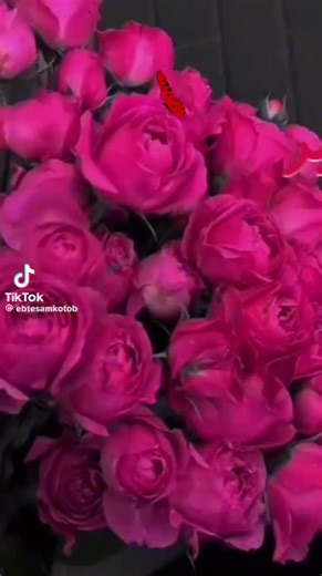 Redline geräte Düsseldorf (@redline.iptv)’s videos with Originalton - Redline geräte Düsseldorf