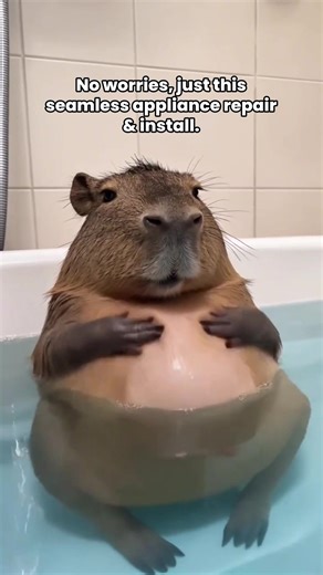 Is your appliance acting up? 🤔 Call the tech-savvy besties at Appliance Pros of CA! Quick fixes, no more dish pile-ups! 🧺✨ #ApplianceProsCA #OrangeCountyLiving #FixItFast #appliancerepair #irvine