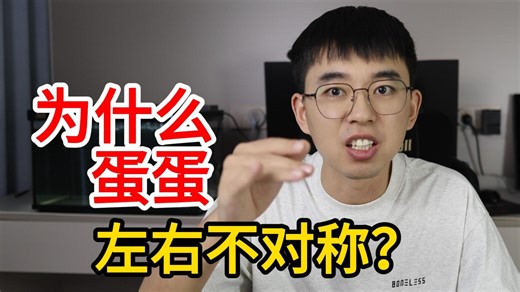 为什么蛋蛋左右不对称？（不科学解释）