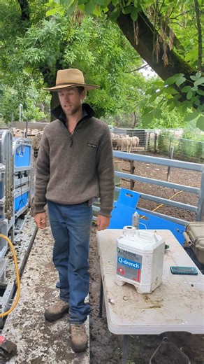 How much drench are you wasting? The Te Pari Australiadrench gun automatically adjusts the dose to the weight of the sheep. Not only are we saving drench, but we are also drenching in a way that prevents underdosing which slows down drench resistance development We averaged 380 head/hour over 2500 ewes in a rough setup on this job. | Specialised Livestock Services