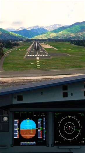 Arkia Airbus A321neo Landing at Batumi International Airport | MSFS 2020 #airbus #aviation #fly