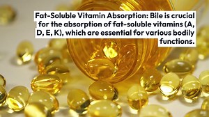 UnderstandingGallbladderFunctions