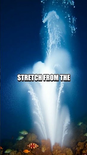 The Mysterious Underwater Tornado