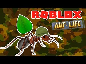 Soldier Ant in ANT LIFE ROBLOX (beta testing) #3