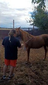 proper way to use a "whip"