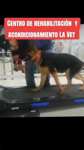 Centro de rehabilitación y acondicionamiento físico