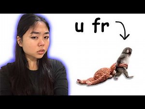 GUIDE: Making Friends as a F**king Adult (ODDLY SPECIFIC)