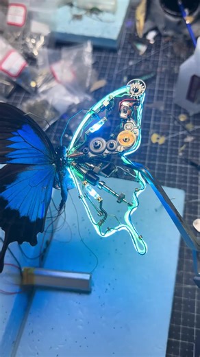 Beautiful dynamic mechanical butterfly #robot #beautiful #beauty #butterfly #real