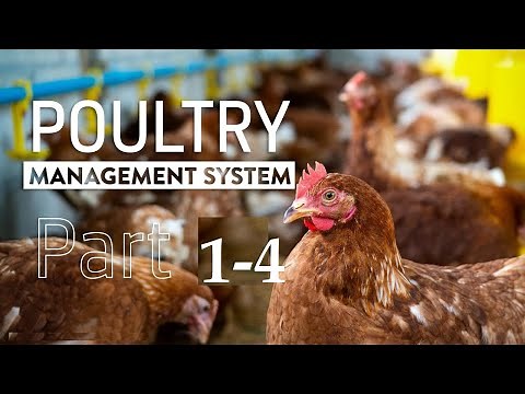 Poultry management system using Microsoft access database