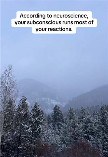 Knowing better isn’t the same as feeling safe. That’s why so many people stay stuck even after years of insight. Hack Your Subconscious teaches a body-based way to interrupt the stress response and rewire the belief underneath it. If the cart is there, it’s available. #efttapping #subconsciousmind #nervoussystemhealing #emotionalhealing #selfhelpbooks