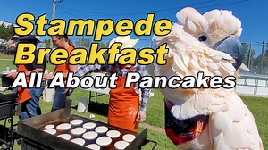 Stampede Breakfast: Max has his own ideas about the Pancakes 🤣 Max dressed up in his finest bandana to fit in with the cowboys, cowgirls and cowbirds at his first Stampede Breakfast. He enjoyed visting with one of the cooks who made him a very special Max sized pancake. Max was thrilled with his new pancake, but didn't quite understand that he was supposed to eat it at the breakfast. Make sure you watch the surprising twist at the end of the video - Max certainly has his own ideas on how Stampe