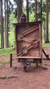 How smart | Extra-math