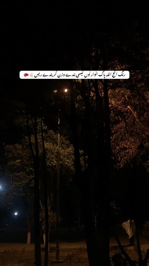 Inspirational Nature Moments to Boost Your Motivation