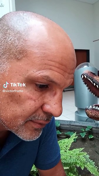 Explora el Museo Paleontológico de Trelew y sus dinosaurios