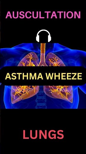 Asthma Wheeze Sounds - Asthma Whistling Sounds #shorts #medicine #medstudent #usmle #plab #asthma
