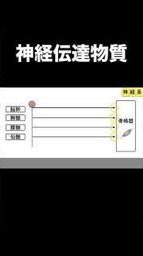 神経伝達物質