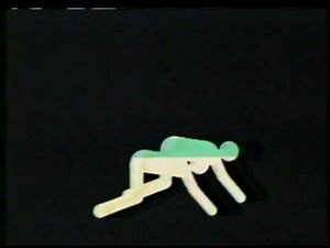 ParticipACTION - Don't just think about it, do it!