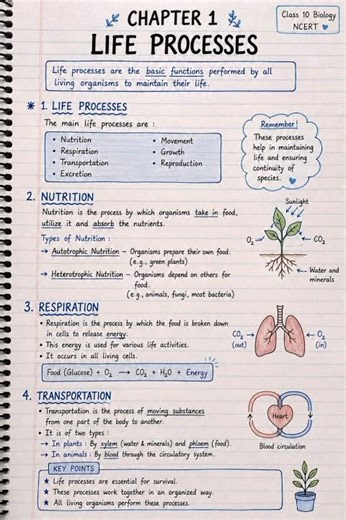 Class 10 Biology Chapter 1 – Life Processes | Handwritten Notes ✍️🧬
