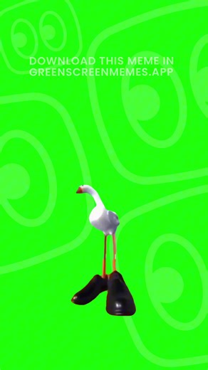 DM “MEME” to get the 4K download 📥 Nervous goose Green Screen Meme Get this video in 4K with our app: GreenScreenMemes.app — now on iOS 📲 #memes #memesdaily #greenscreen #fyp #meme
