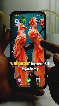 How to Make Live Wallpaper on TikTok for Android #wallpaper #moving