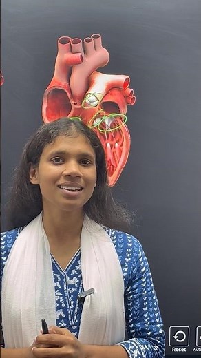 Heart sound lub-dub kaise produce Hota hai ? | cardiac cycle explained #neet