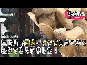 生産者見つけました：三野町で菌床シイタケの育て方を学ぶ