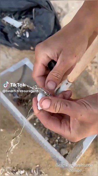 9 Crazy Beach Discovery: Rare Sea Snail and What I Found in the Trash #beachcleanup #treasuresearch