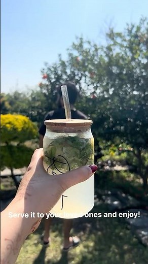 Homemade Mojito Recipe | Fresh Mint Mojito from Our Garden