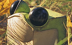 1 Bit 2 Bit 4 Bit 8 Bit 16 BIT 32 Bit 128 Bit 256 Bit 512 Bit 1024 Bit 2048 Bits