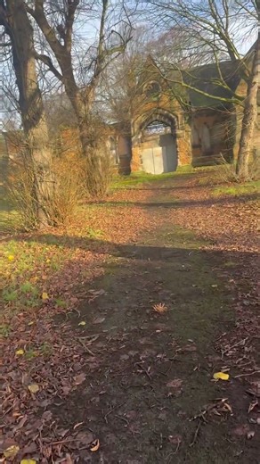 Peacefuf Cemetery Path Walk | Sunlight Through the Trees & Historic Gravestones