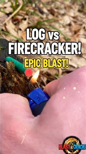PIRATE FIRECRACKER vs OLD LOG! 🪵💥