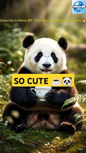 This Panda’s Morning Coffee Is the Cutest Thing You’ll See Today 🐼☕🌿#shorts #shortsvideo #manajrstv