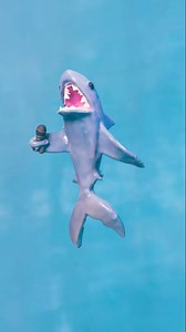 🦈 Oh the shark babe, has such teeth dear 🎤 #Shark #sing #stopmotion | Thou_art_lumi