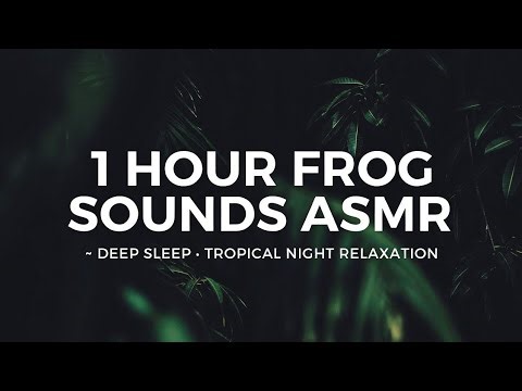 Night by the Rice Fields | Real Frog Sounds for Sleep & Relaxation