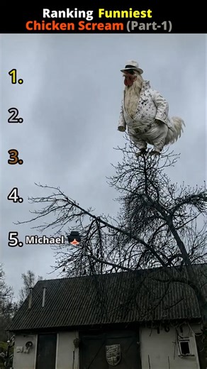 DON'T CHECK THE SOUND 😭 Funniest Chicken Screaming Ranking