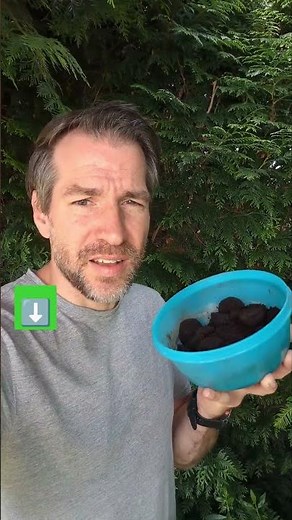 DO NOT fertilize these plants with coffee grounds! #garden #gardening