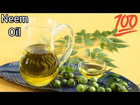 HOW TO MAKE NEEM OIL AT HOME FOR HAIR AND SKIN (DIY)