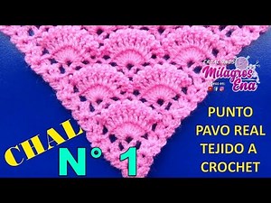 Chal N° 1 tejido a crochet en punto PAVO REAL en forma de V o en punta paso a paso - MILAGROS ENA