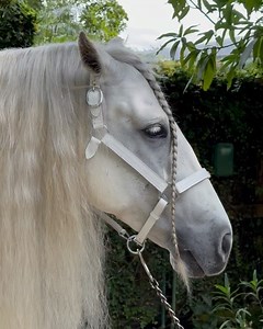 Steph Rayner on Instagram: "January 2024 ✨懶"