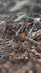 95K views · 1.2K reactions | Manufacturing process of recycling! | How Its Made | Facebook