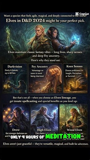 “Why Elves Are Magical AND Useful in D&D 2024”